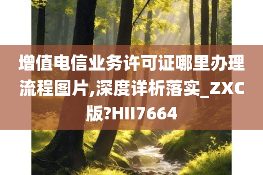 增值电信业务许可证哪里办理流程图片,深度详析落实_ZXC版?HII7664