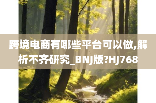 跨境电商有哪些平台可以做,解析不齐研究_BNJ版?HJ768