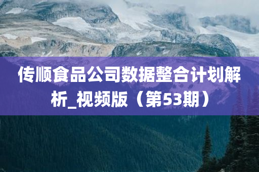 传顺食品公司数据整合计划解析_视频版（第53期）