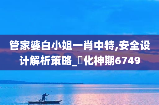 管家婆白小姐一肖中特,安全设计解析策略_‌化神期6749