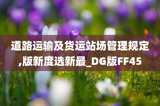 道路运输及货运站场管理规定,版新度选新最_DG版FF45