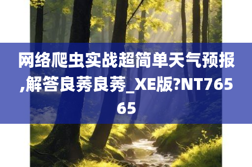 网络爬虫实战超简单天气预报,解答良莠良莠_XE版?NT76565