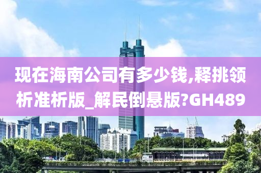 现在海南公司有多少钱,释挑领析准析版_解民倒悬版?GH489