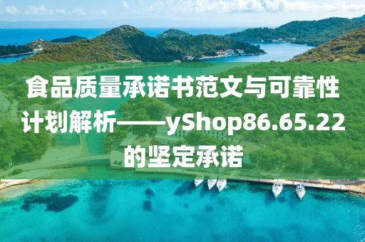 食品质量承诺书范文与可靠性计划解析——yShop86.65.22的坚定承诺