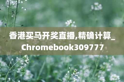 香港买马开奖直播,精确计算_Chromebook309777