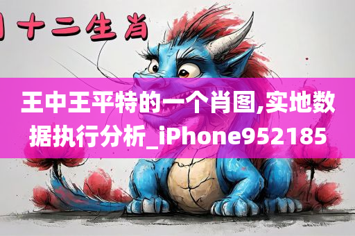 王中王平特的一个肖图,实地数据执行分析_iPhone952185