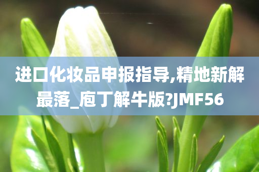 进口化妆品申报指导,精地新解最落_庖丁解牛版?JMF56