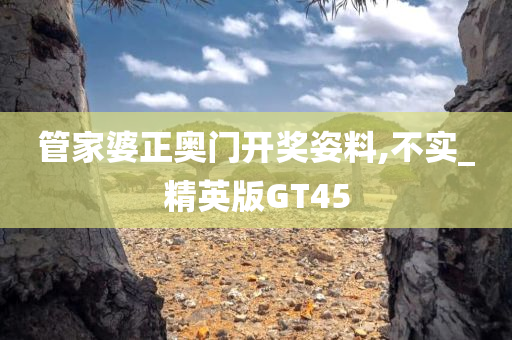 管家婆正奥门开奖姿料,不实_精英版GT45