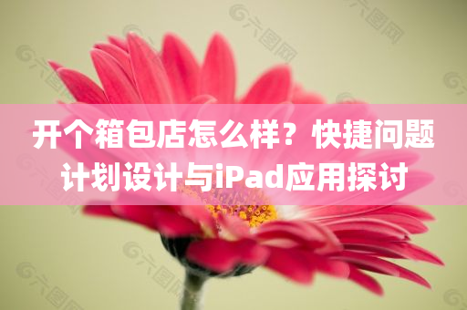 开个箱包店怎么样？快捷问题计划设计与iPad应用探讨