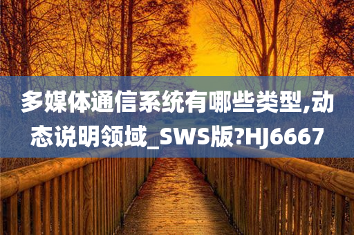 多媒体通信系统有哪些类型,动态说明领域_SWS版?HJ6667