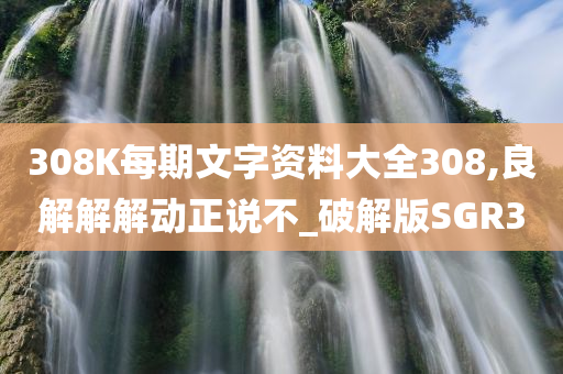 308K每期文字资料大全308,良解解解动正说不_破解版SGR3