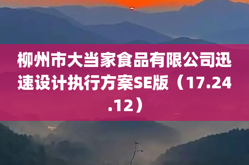 柳州市大当家食品有限公司迅速设计执行方案SE版（17.24.12）