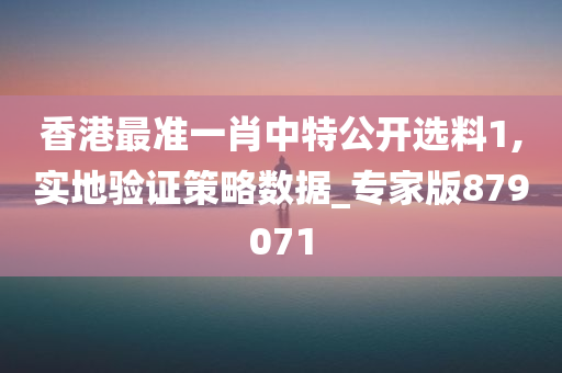 香港最准一肖中特公开选料1,实地验证策略数据_专家版879071