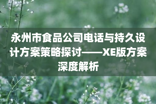 永州市食品公司电话与持久设计方案策略探讨——XE版方案深度解析