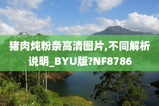 猪肉炖粉条高清图片,不同解析说明_BYU版?NF8786