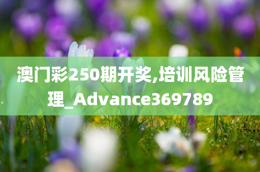 澳门彩250期开奖,培训风险管理_Advance369789