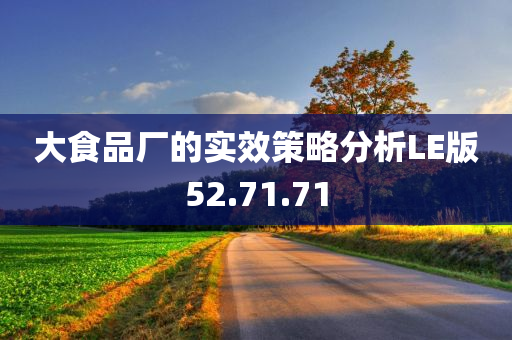 大食品厂的实效策略分析LE版52.71.71