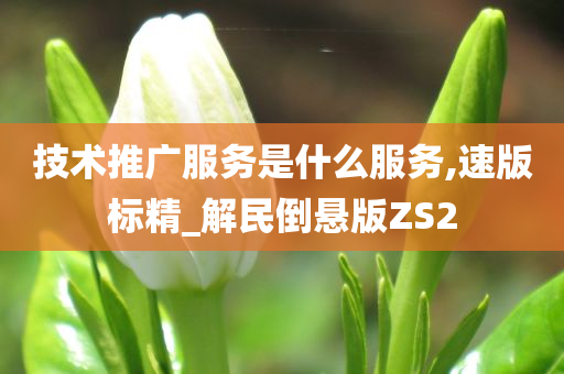 技术推广服务是什么服务,速版标精_解民倒悬版ZS2