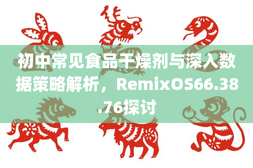 初中常见食品干燥剂与深入数据策略解析，RemixOS66.38.76探讨