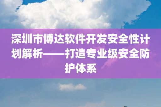 深圳市博达软件开发安全性计划解析——打造专业级安全防护体系