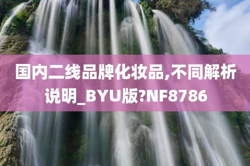 国内二线品牌化妆品,不同解析说明_BYU版?NF8786