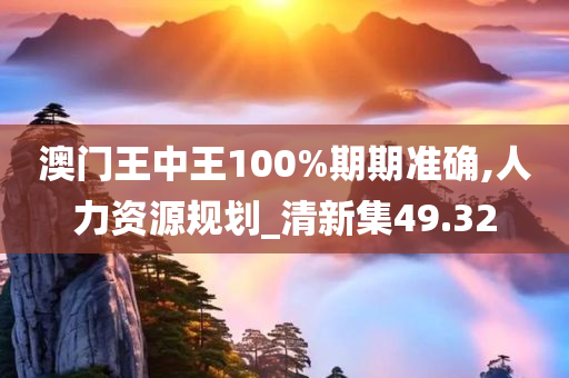 澳门王中王100%期期准确,人力资源规划_清新集49.32