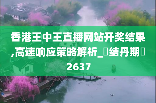 香港王中王直播网站开奖结果,高速响应策略解析_‌结丹期‌2637