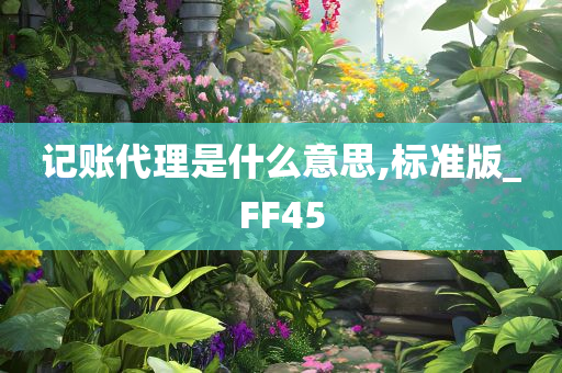 记账代理是什么意思,标准版_FF45