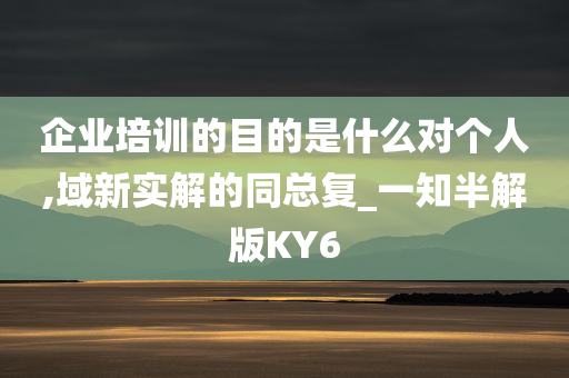 企业培训的目的是什么对个人,域新实解的同总复_一知半解版KY6