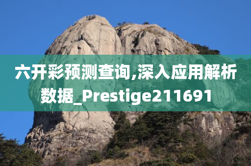 六开彩预测查询,深入应用解析数据_Prestige211691