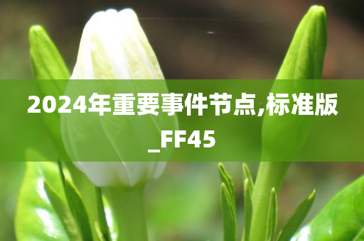 2024年重要事件节点,标准版_FF45