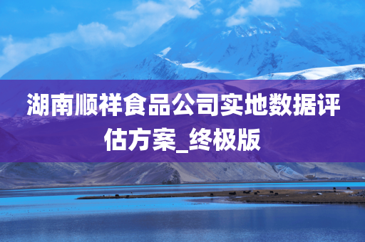 湖南顺祥食品公司实地数据评估方案_终极版