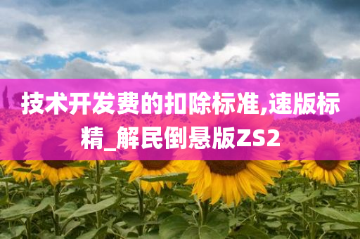 技术开发费的扣除标准,速版标精_解民倒悬版ZS2