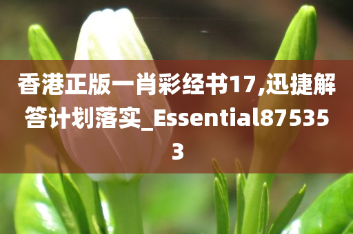 香港正版一肖彩经书17,迅捷解答计划落实_Essential875353