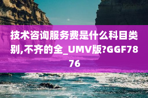 技术咨询服务费是什么科目类别,不齐的全_UMV版?GGF7876