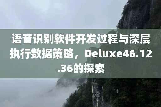 语音识别软件开发过程与深层执行数据策略，Deluxe46.12.36的探索