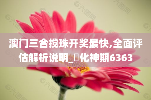 澳门三合搅珠开奖最快,全面评估解析说明_‌化神期6363