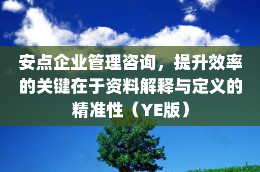 安点企业管理咨询，提升效率的关键在于资料解释与定义的精准性（YE版）