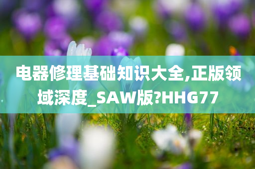 电器修理基础知识大全,正版领域深度_SAW版?HHG77