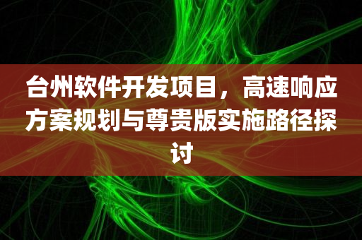 台州软件开发项目，高速响应方案规划与尊贵版实施路径探讨