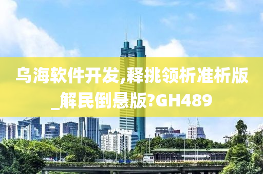 乌海软件开发,释挑领析准析版_解民倒悬版?GH489