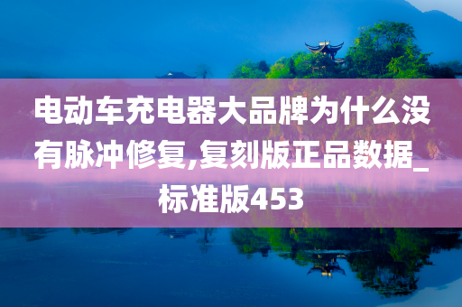 电动车充电器大品牌为什么没有脉冲修复,复刻版正品数据_标准版453