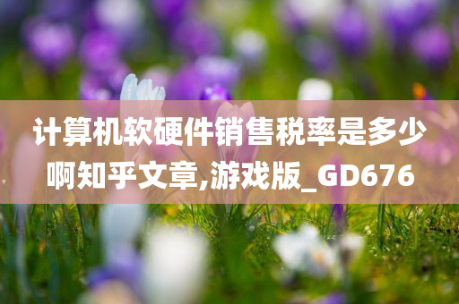 计算机软硬件销售税率是多少啊知乎文章,游戏版_GD676