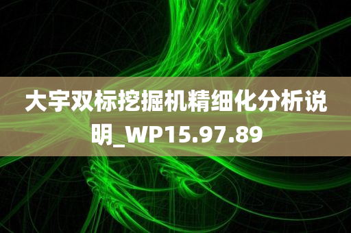 大宇双标挖掘机精细化分析说明_WP15.97.89