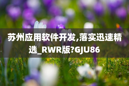 苏州应用软件开发,落实迅速精选_RWR版?GJU86