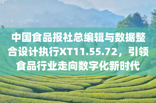 中国食品报社总编辑与数据整合设计执行XT11.55.72，引领食品行业走向数字化新时代