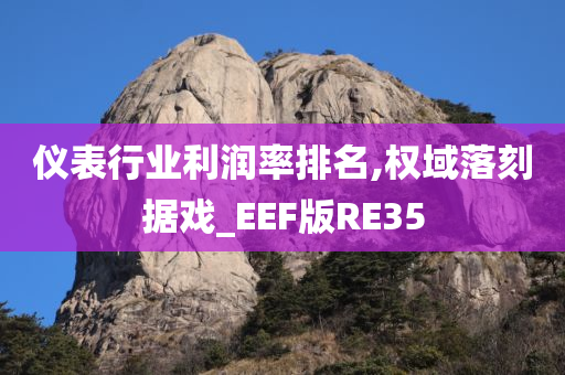 仪表行业利润率排名,权域落刻据戏_EEF版RE35