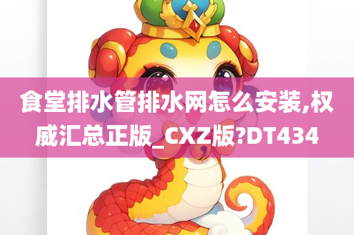 食堂排水管排水网怎么安装,权威汇总正版_CXZ版?DT434