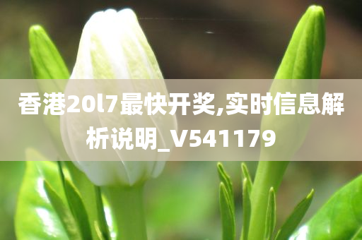 香港20l7最快开奖,实时信息解析说明_V541179