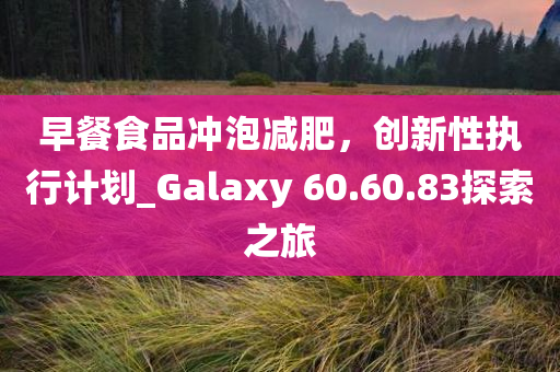 早餐食品冲泡减肥，创新性执行计划_Galaxy 60.60.83探索之旅